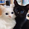 a profil fotoğrafı