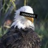 Douglas McGilligan 🇺🇲🎗️'s profile picture