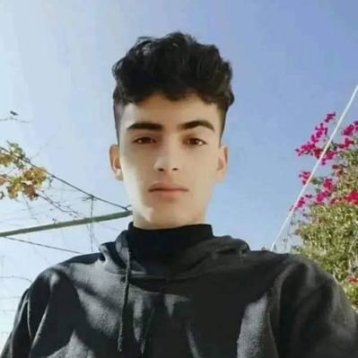 احمد سنان's profile picture