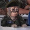 Seniõr's profile picture