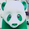 mikko's profile picture