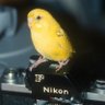 Фото профиля たんるて