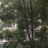Robinson 的头像