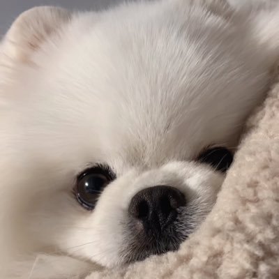 DUODUO_030402's profile picture