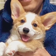 ひめ🐾2KD's profile picture