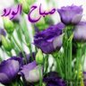 عبد القادر profil fotoğrafı