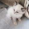 tao profil fotoğrafı