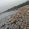 Raj kumar Maan's profile picture
