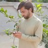 Ahsan khan's profile picture