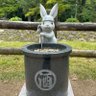 Фото профиля さけおぢ