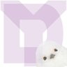 Profilbild von d_yama_315