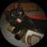 Folie à Deux's profile picture