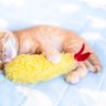 Profilbild von ななな