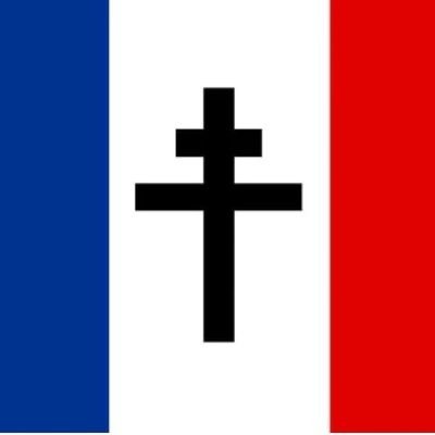 AlcidedeFrance's profile picture