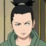 Profilbild von Feu Follet