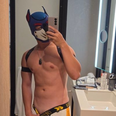 小狗狗李城's profile picture