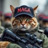 Profilbild von Pushed to the right 🇺🇸🐱