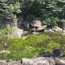 Фото профиля 暇な島人
