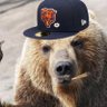 Bear Down Billy 的头像
