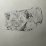 Lion Proxima (Leo)'s profile picture