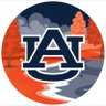 WarDamnEagle!🧡💙🦅🐅 的头像