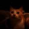 Nyeow profil fotoğrafı