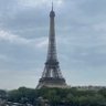 Bull71 🇫🇷's profile picture