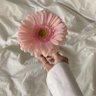 Meral Abdelbadeea 的头像