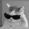 Profilbild von siji