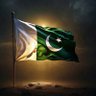 Ahmad Ali's profile picture