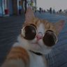 Bobby 🎀 profil fotoğrafı