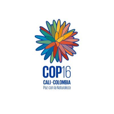 COP16Oficial's profile picture