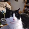 ThaWhyteRabbit's profile picture