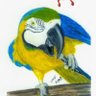 Profilbild von CTtalk