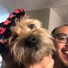 🇲🇽's profile picture