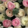 فاطمه زآهر 🍃. 的头像