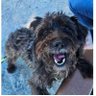 Michaela! profil fotoğrafı
