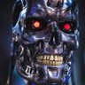 The Short & Distort Terminator profil fotoğrafı