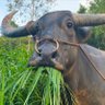 quanhai profil fotoğrafı