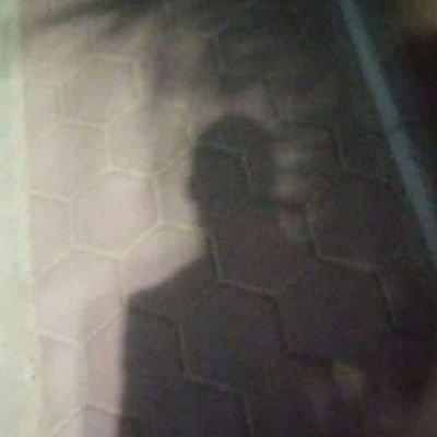 almalah1411's profile picture
