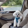 Donnie Kim profil fotoğrafı