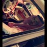 نايف الدعجاني's profile picture