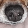 Profilbild von damagedjazz