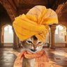 Rishi Ajith profil fotoğrafı