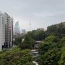 ياسر العتيبي 的头像