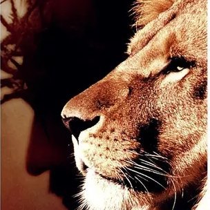 M's profile picture