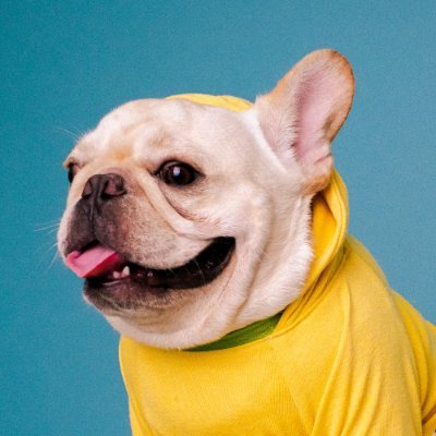 Frenchie Crew's profile picture
