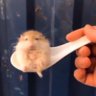 baohasbadtakes's profile picture
