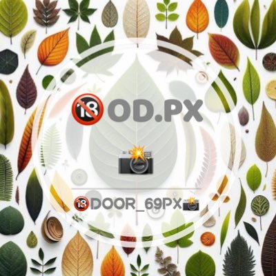 door_69Px's profile picture