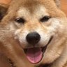 Фото профиля むぅちゃんねる